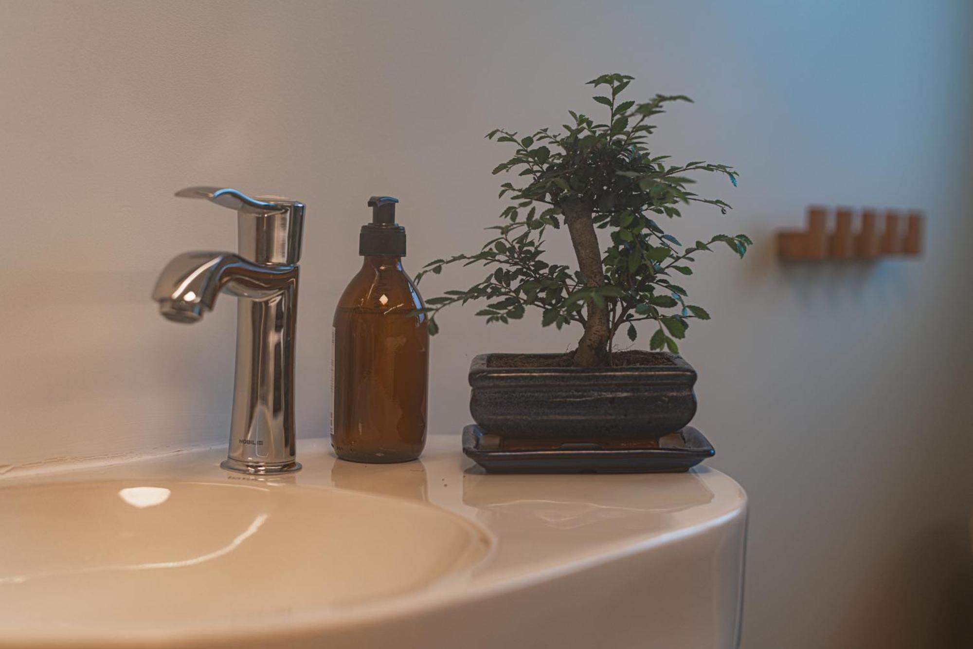 The Originals City, Ara Hotel, Landerneau Ngoại thất bức ảnh